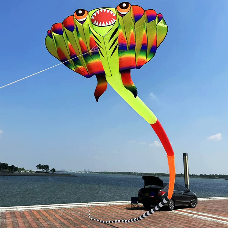 3D 12.5M 2-color Ray Soft Kite - Outdoor Power Reel recension och pris