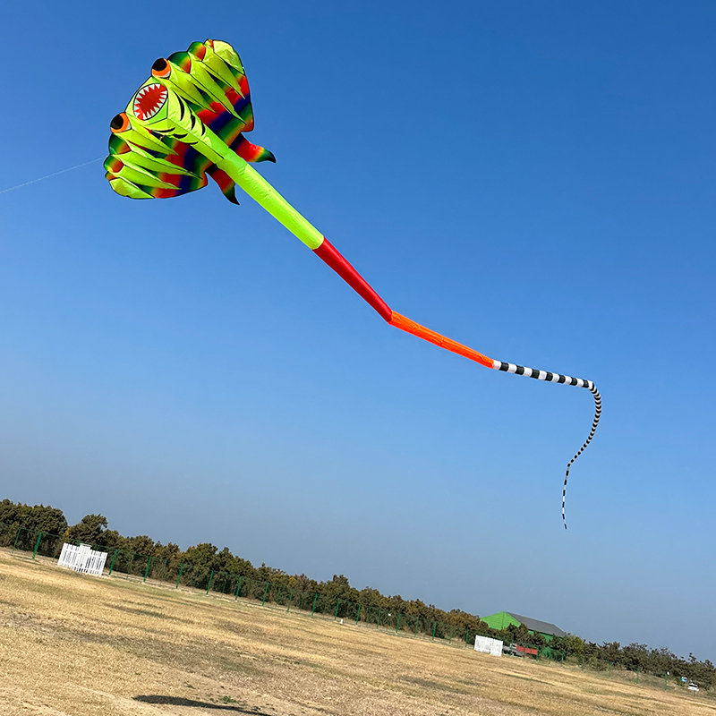 3D 12.5M 2-color Ray Soft Kite - Outdoor Power Reel recension och pris