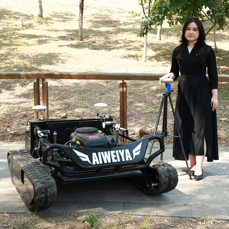 Customized NEW Powered Lawn Mo - Outdoor Power Mowers recension och pris